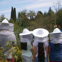 Kinder gehen durch den Imkergarten und tragen dabei Kleidung zum Schutz vor Bienenstichen
