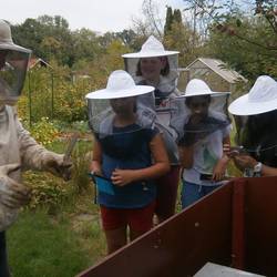Der Imker erklärt den Kindern die Arbeit eines Imkers am Bienenstock
