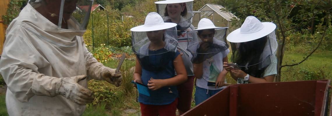 Der Imker erklärt den Kindern die Arbeit eines Imkers am Bienenstock